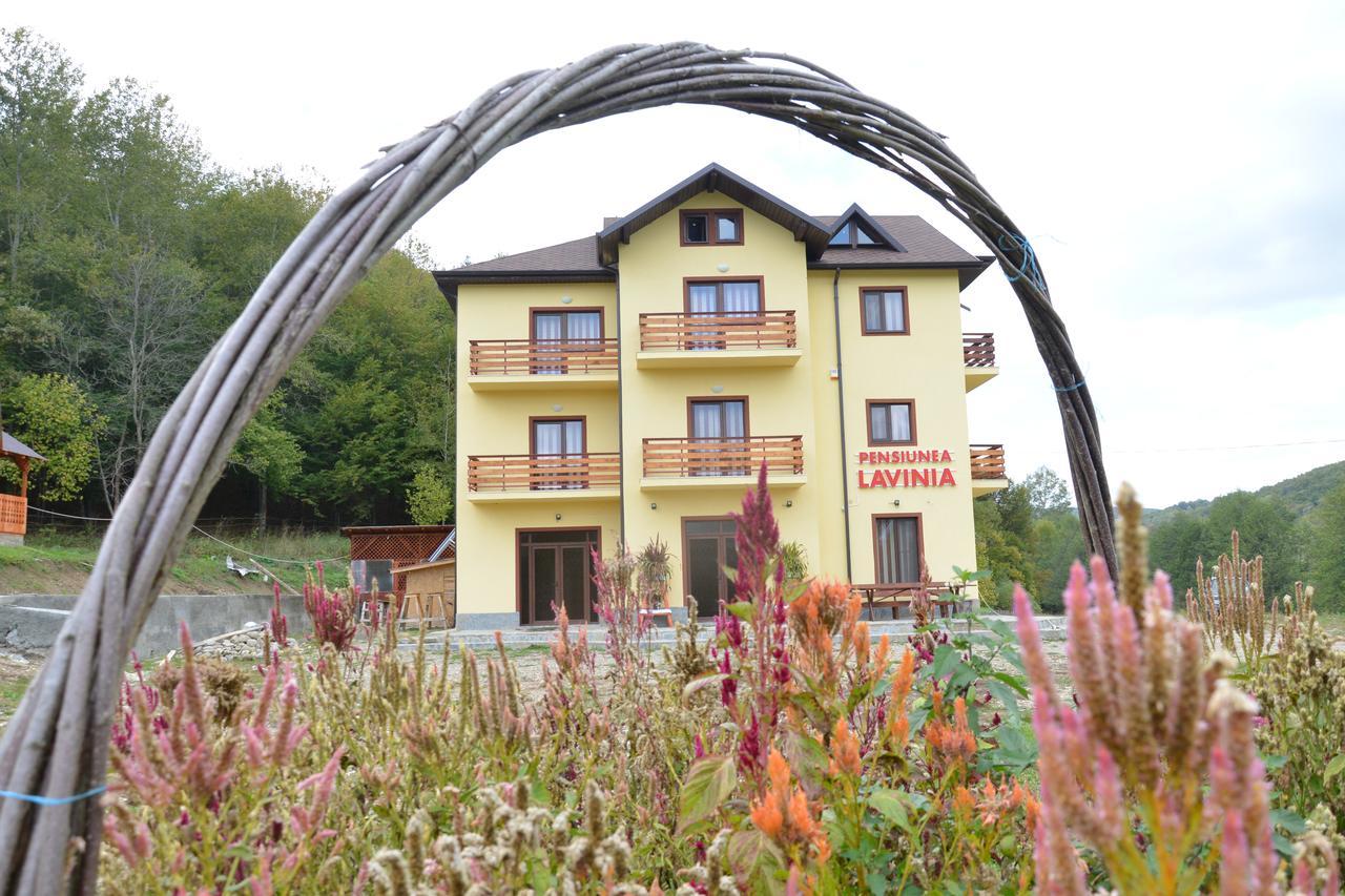 Pensiunea Lavinia Calvini Exterior foto