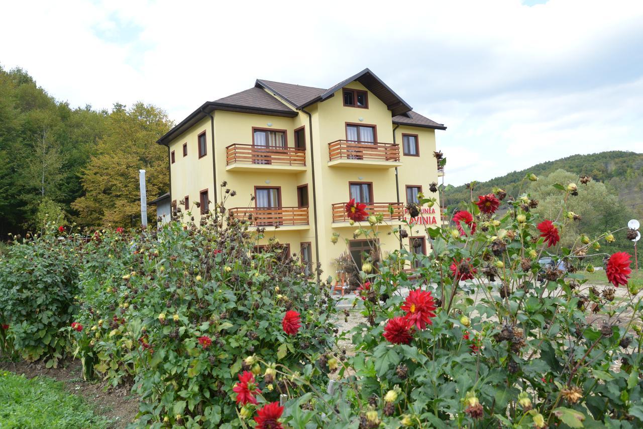 Pensiunea Lavinia Calvini Exterior foto