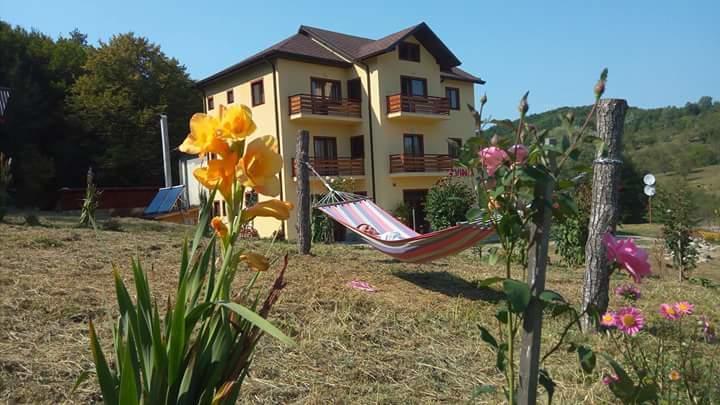 Pensiunea Lavinia Calvini Exterior foto